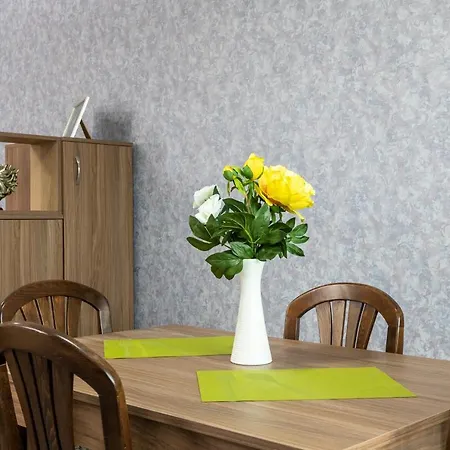 Panorama شقة فيلينغراد