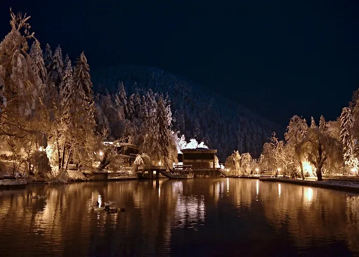 Апартаменты Panorama